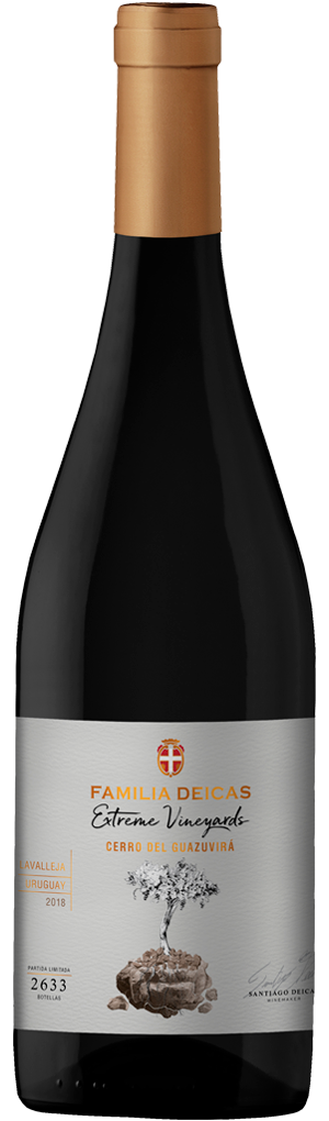 Cerro-del-Guazuvira botella