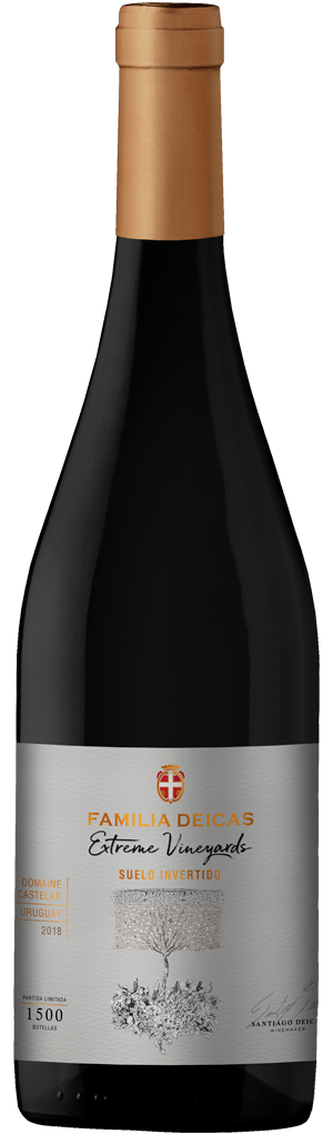 Suelo-Invertido botella