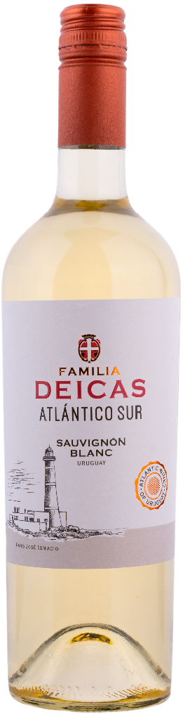 botella