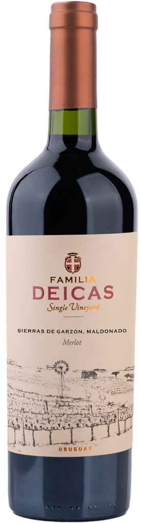 botella